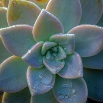 Mindfulness Strategies