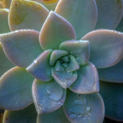 Mindfulness Strategies
